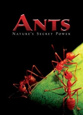 Ants - Nature's Secret Power (2004)