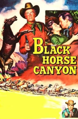 Black Horse Canyon (1954)