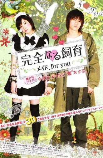 Perfect Education: A Maid for You (2010)