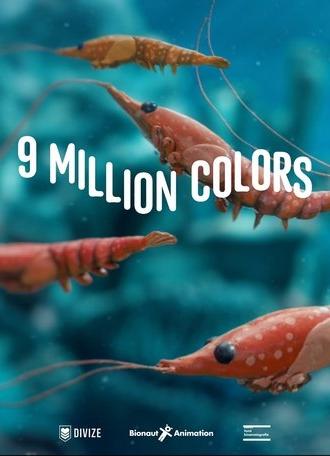 9 Million Colors (2025)
