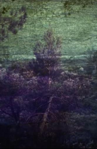 Cloud Shadows (2014)