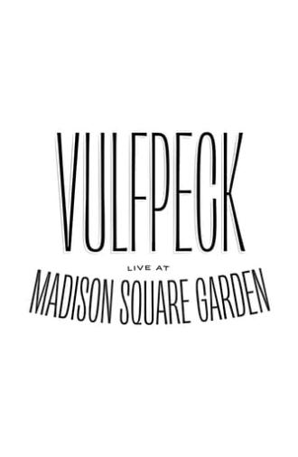 Vulfpeck: Live at Madison Square Garden (2019)