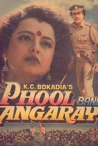 Phool Bane Angaray (1991)