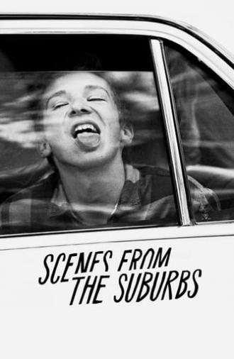 Scenes from the Suburbs (2011)