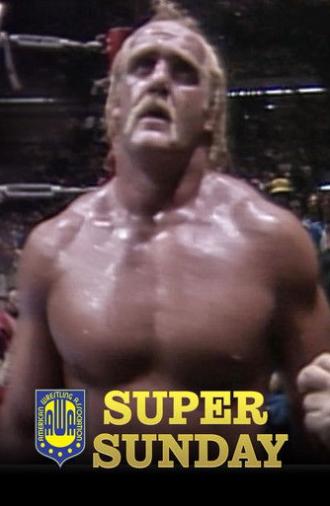 AWA Super Sunday (1983)
