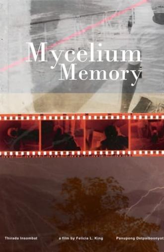 Mycelium Memory (2023)