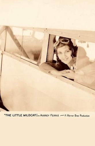 The Little Wildcat (1928)