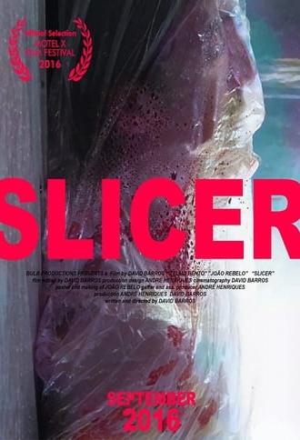 Slicer (2016)