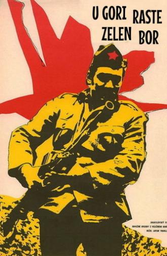 The Pine Tree in the Mountain (1971)