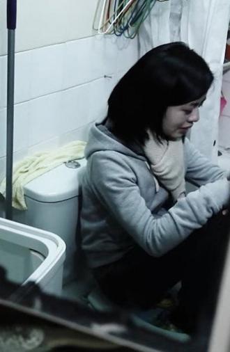 Joy (2013)
