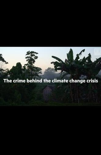 The crime behind the Amazon climate change crisis (2019)