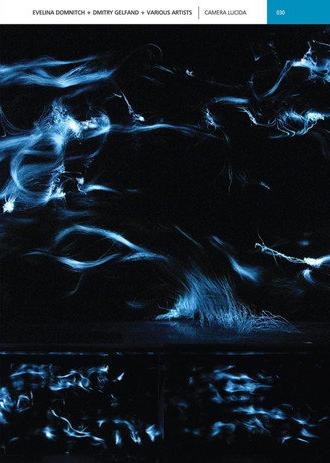 CAMERA LUCIDA (2007)