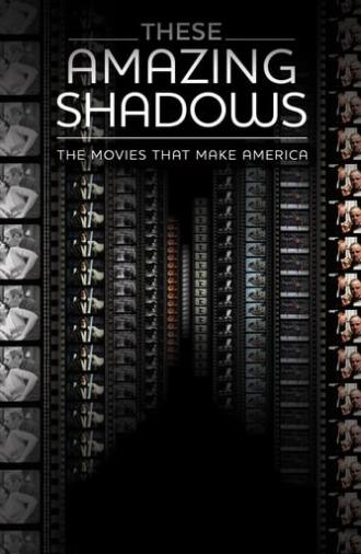 These Amazing Shadows (2011)