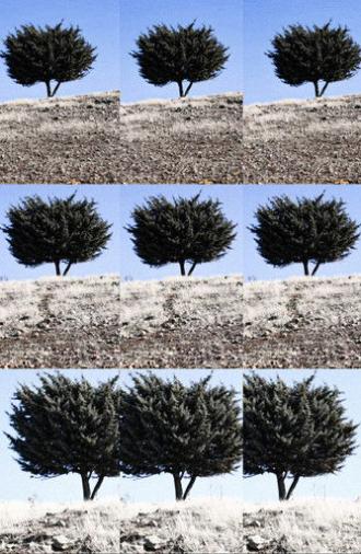 Where is the Final Destination? (2024)