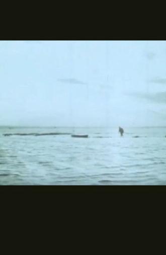 Il campo (1968)