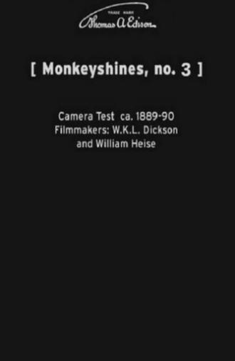 Monkeyshines, No. 3 (1890)