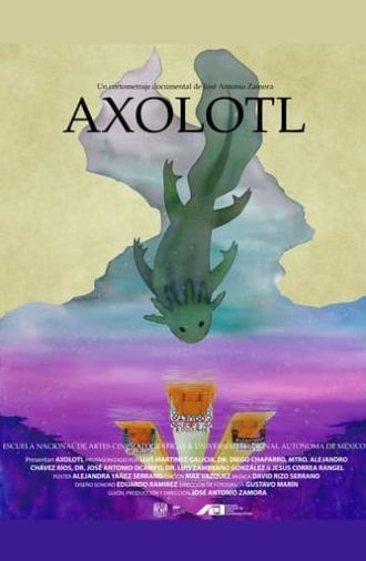 Axolotl (2024)