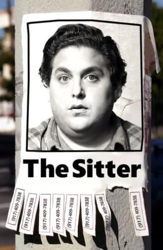 The Sitter (2011)