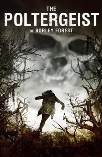 The Poltergeist of Borley Forest (2013)