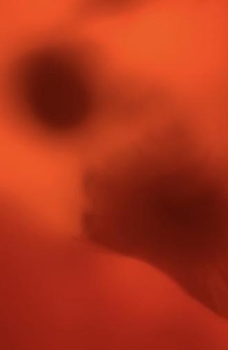 Love is Tinged with Red (2010)