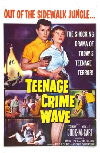 Teen-Age Crime Wave (1955)