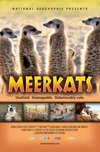 Meerkats 3D (2011)