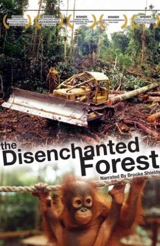 Disenchanted Forest (2002)