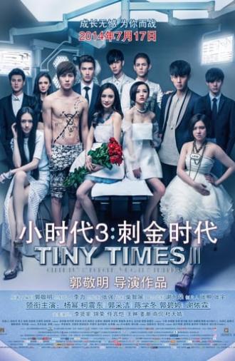 Tiny Times 3 (2014)