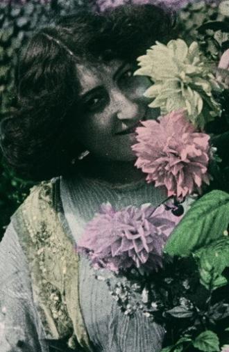 Culture of the Dahlia (1911)