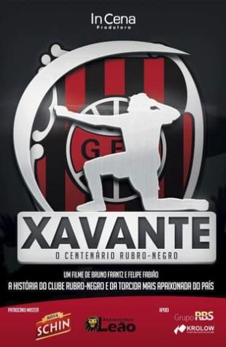 Xavante - O Centenário Rubro-negro (2012)