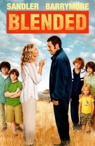 Blended (2014)