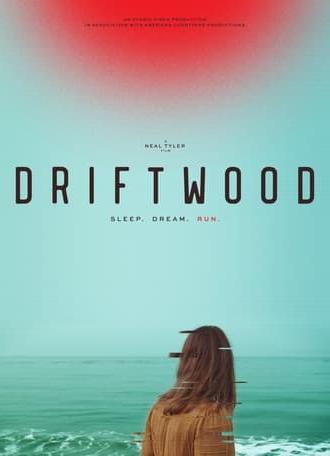 Driftwood (2024)