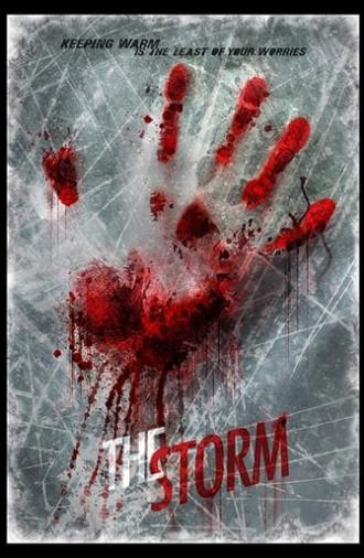 The Storm (2013)