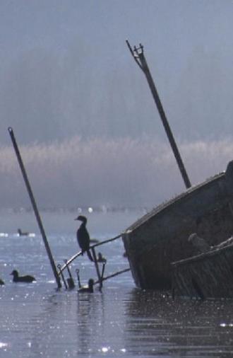 Colors of Prespa: Birds (2019)