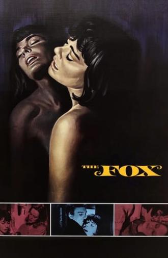 The Fox (1967)