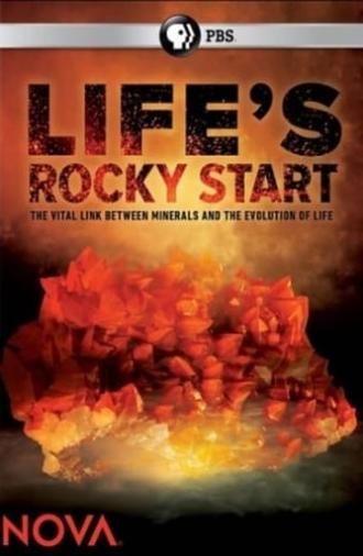 NOVA: Life's Rocky Start (2016)