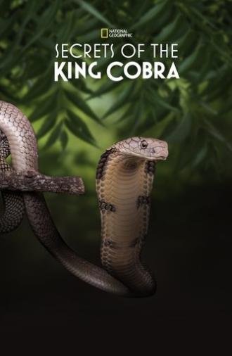 Secrets of the King Cobra (2010)