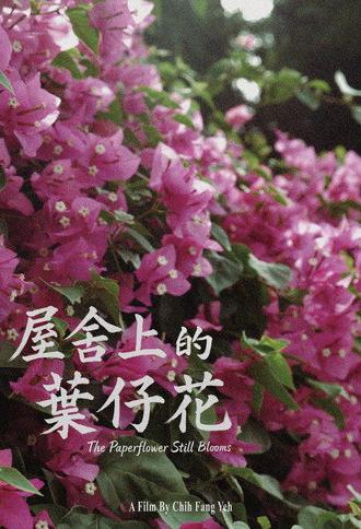The Paperflower Still Blooms (2025)
