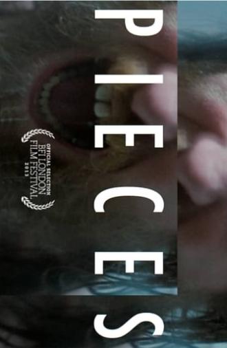 Pieces (2013)