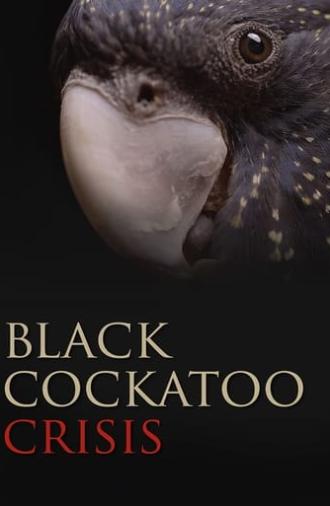 Black Cockatoo Crisis (2022)