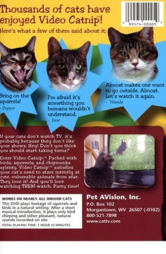 Video Catnip (2002)