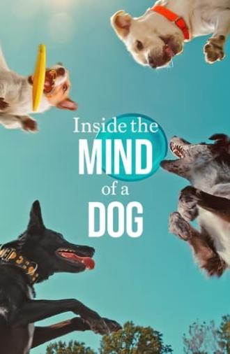 Inside the Mind of a Dog (2024)