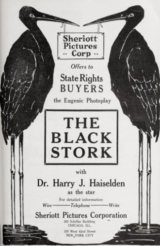 The Black Stork (1917)