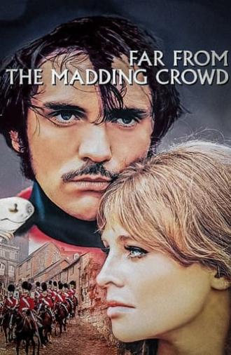 Far from the Madding Crowd (1967)