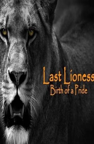 The Last Lioness: Birth of a Pride (2013)