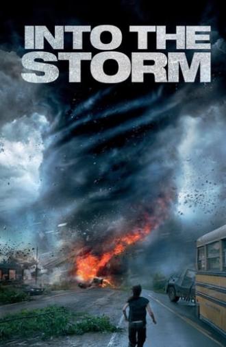 Into the Storm (2014)