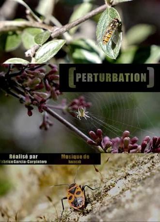 Perturbation (2020)