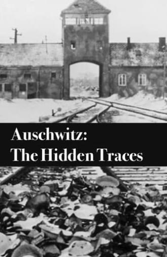 Auschwitz: The Hidden Traces (2022)