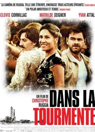 Dans la tourmente (2012)