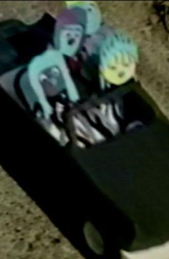 Lessons In Baby Dyke Theory (1995)